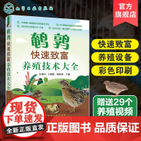 赠养殖视频 鹌鹑快速致富养殖技术大全 鹌鹑养殖技术应用书籍 产蛋鹌鹑肉鹌鹑饲养管理 鹌鹑常见病防控技术大全 鹌鹑生产经营