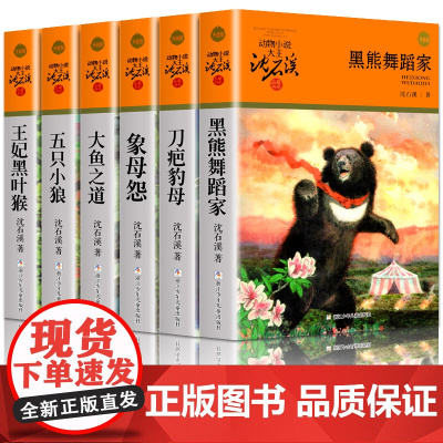 正版 沈石溪动物小说橙色特辑 全6册 黑熊舞蹈家刀疤豺母象母怨大鱼之道五只小狼王妃黑叶猴 6-10-12岁三四五六年级