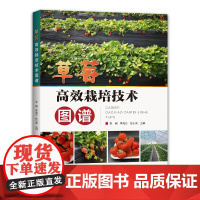 [出版社]草莓高效栽培技术图谱 草莓 栽培技术 图谱 河南科学技术出版社