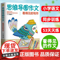 丁丁老师 思维导图作文 看得见的写作 丁丁老师著 一二三四五六年级课外同步训练123456年级阅读理解训练搭配看图写话5