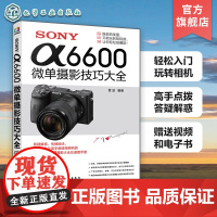 SONYα6600微单摄影技巧大全 SONY α6600摄影师使用经验及技巧大全 精通SONY α6600微单摄影和短视