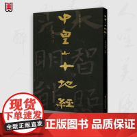 中国石刻书法精粹 中皇山十地经 赖非 中国传统艺术经典书系 南北朝隋摩崖石刻隶意楷书书法演变碑刻研究字帖临摹 山东美术出