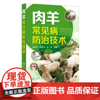 肉羊常见病防治技术 羊病防治好帮手 羊病常见病预防诊断书籍 肉羊疾病综合防控技术 传染病防控技术 寄生虫病防治技术应用书