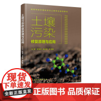 土壤污染修复原理与应用 宋敏 土壤污染修复技术书籍 重金属污染土壤修复 现有修复技术问题分析 土壤修复工程等专业应用技术