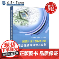 城镇片区开发投资决策综合性咨询理论与实务 王廷先 徐敏峰 天津大学出版社