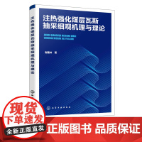 注热强化煤层瓦斯抽采细观机理与理论 注热强化煤层瓦斯抽采细观机理与理论研究书籍 煤层瓦斯热采及瓦斯灾害防治技术人员应用书