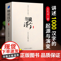 细说汉字的故事左民安1000个汉字演变过程精辟图说展示汉字使用状况语言文字中华书局画说汉字详解古代汉语字典古文字字典咬文