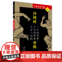 沙国政专辑:八卦狮形掌、形意鸡形拳、武当八仙剑——中华武术大观