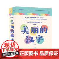 美丽的汉字:上、下册 小学生全彩插图版 儿童认字书 0-3-6周岁幼儿园大班宝宝学前班识字 幼儿早教 幼小衔接入学准备