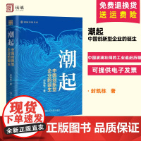 正版 潮起 中国创新型企业的诞生 对工业技术发展规律的理解 中国波澜壮阔的工业追赶历程 创新企业崛起的历程