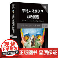 奈特人体解剖学图谱 第8版彩色神经系统肌肉骨骼生理学基础肌动学尸变图鉴列车格氏结构和功能八版正常2023法医人卫版解刨解