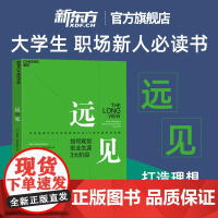 [新东方店]远见 规划职业生涯3大阶段 职场远见书 用远见思维规划职业生涯 职场励志 奥美互动执行官30余年的职场洞察