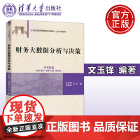 财务大数据分析与决策 文玉锋 赵雪梅 会计学系列 21世纪经济管理新形态教材 清华大学出版社