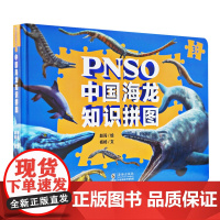 PNSO中国海龙知识拼图 少儿科普∥恐龙 低幼益智 拼图