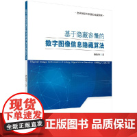 [按需印刷]基于隐藏容量的数字图像信息隐藏算法科学出版社