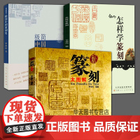 3册新篆刻大图解+极简中国篆刻史+怎样学篆刻印谱印章篆刻基础入门教程书籍古印探微篆刻印章印谱书籍古印赏析临摹篆刻工具材料