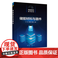 储能材料与器件 李星 铅酸蓄电池锂离子电池锂金属电池及锂金属负极保护 储能电池方面研究生产人员参考 新能源科学与工程专业
