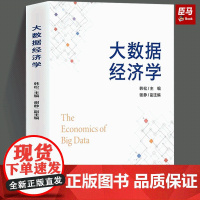 正版 大数据经济学 韩松 谢静 信息经济学 经济学专业教材书籍 智能化算法应用 复杂经济学 中国经济出版社 9787