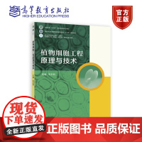 植物细胞工程原理与技术 王正加 高等教育出版社