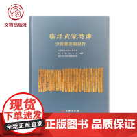 临泽黄家湾滩汉晋发掘报告 汉墓墓葬考古晋代发掘报告历史文物地理 文物出版社