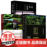 3册方寸之间雨林世界一缸一景一世界植物造景从这本书爱上水景缸我的一本雨林缸造景书生态缸造景详解介绍雨林缸造景制作指南书籍