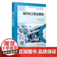 现代化工职业基础 严小丽 现代化工职业和生产岗位相关知识书籍 现代化工职业生产参考书 职业院校化工类及相关专业应用教学参