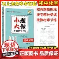 小题大做初中化学选择题专项训练与上海市中考配套按真题模拟练按专题分类练按教材章节练扫码获取答案上海社会科学院出版社