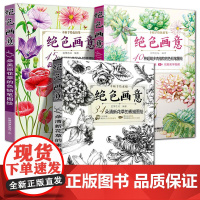 3册套装 绝色画意系列 34朵清新花草的素描图绘+ 45朵美丽花草的色铅笔图绘+40种超萌多肉植物的色铅笔图绘 蓝博艺