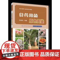 食药用菌原色图鉴 牛长满主编 中国农业大学出版社店9787565528064