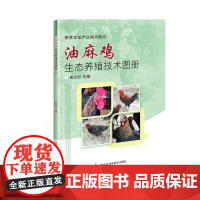 正版书籍 油麻鸡生态养殖技术图册 品种来源和品种介绍 放牧的饲养技术和疫病预防技术 油麻鸡的管理技术 图文并茂指南