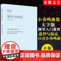 钢琴小奏鸣曲集 陈学元 钢琴曲集入门教程大字版舒伯特巴赫贝多芬莫扎特克列门蒂大调钢琴初级入门教程 钢琴基础练习曲集教材书