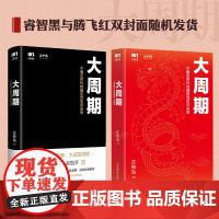 大周期 不确定时代的确定性生存法则 正和岛著宋志平彭凯平作序经济周期投资重要的事底层逻辑金线书籍 人民邮电出版社