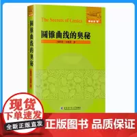 圆锥曲线的奥秘 陈熙春 刘建国著 哈尔滨工业大学出版社 数学教师专著高考圆锥曲线试题 高中数学教师教学用书 高考数学辅导