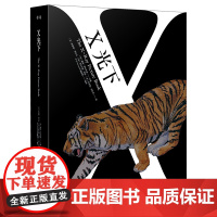 X光下(我们及我们所创造的世界、存在着及存在过的生命)全2册套装 由表及里,洞察万物构成探究事物本质 晨光出版社