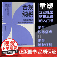 合规纳税 涉税风险防范与纳税筹划案例指导 税务筹划书籍企业经营财税思维财税实务税务师培训