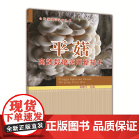 正版 平菇高效栽培实用新技术 邓德江主编 中国农业大学出版社9787565512155