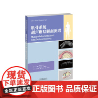 肌骨系统超声断层解剖 图谱肌骨系统超声检查实用指南 主译:郭瑞君,曲鹏肌骨系统断层解剖,指导超声精准诊疗,曹文,李硕