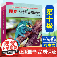 外研社 丽声三叶草分级读物第十级10级 外语教学与研究出版社 适合小学初一二三年级学生英语读物 双语读物 丽声英语分级读