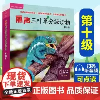 外研社 丽声三叶草分级读物第十级10级 外语教学与研究出版社 适合小学初一二三年级学生英语读物 双语读物 丽声英语分级读