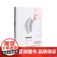 我爱迪克 克丽丝 克劳斯 李银河 包法利夫人 美国 文学 小说 一场游戏一次消遣 枕边书 密室中的旅行 不能与不会 书