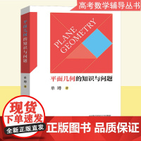 平面几何的知识与问题 单墫 高中数学平面几何书籍 中学平面几何 高考数学平面几何总复习书籍 冲刺高考 中科大出版社