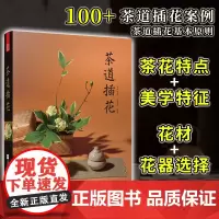茶道插花 茶阅世界素茗堂著茶道意境茶文化书籍花材选择基础插花设计理念茶席插花作品集茶器茶室摆设基础知识生活美学书籍