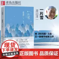 一片雪 渡边淳一的书 小说外国文学小说两性关系小说人性小说书籍 现代当代言情小说恋爱书籍