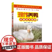 专业户健康高效养殖技术丛书 现代养鸭关键技术精解第二版 养鸭技术大全书籍 鸭子饲料饲养管理疾病防治 鸭场建设科学养鸭教程