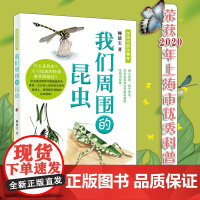 [11-14岁]我们周围的昆虫 生活中的生物学丛书 少年儿童科普读物 认识自然 正版 华东师范大学出版社