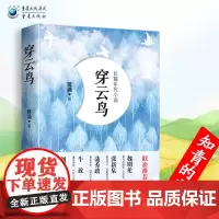 《穿云鸟》知青的生活青春无悔 蒋涌著 与《芳华》《蹉跎岁月》《今夜有暴风雪》比肩的知青题材的青春文学小说