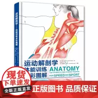 运动解剖学:体能训练全彩图解 运动书籍 力量体