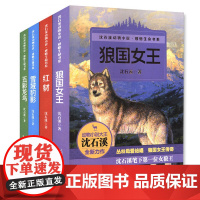 全4册沈石溪动物小说全集感悟生命书系品藏全套4册狼国女王红豺五彩龙鸟7-12-15岁儿童文学中小学生课外阅读物狼王梦作者