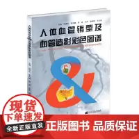 人体血管铸型及血管造影彩色图谱