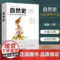 自然史布封彩图修订版正版文化伟人系列动物植物学书进化史科学读物自然科学生物学地理学课外读物科普书籍博学课外书